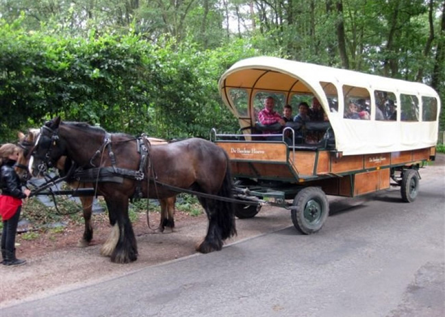 Familiedag Gelderland